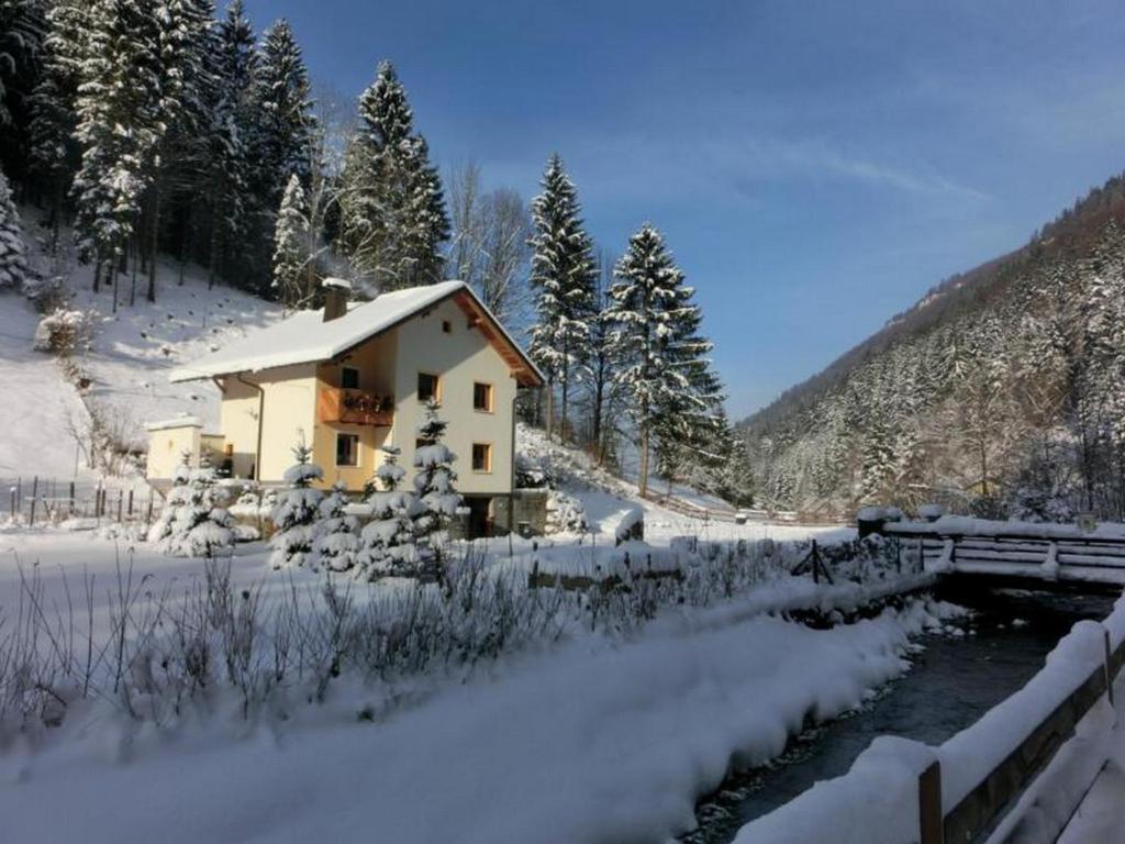 Gaestehaus Forstner Loich المظهر الخارجي الصورة
