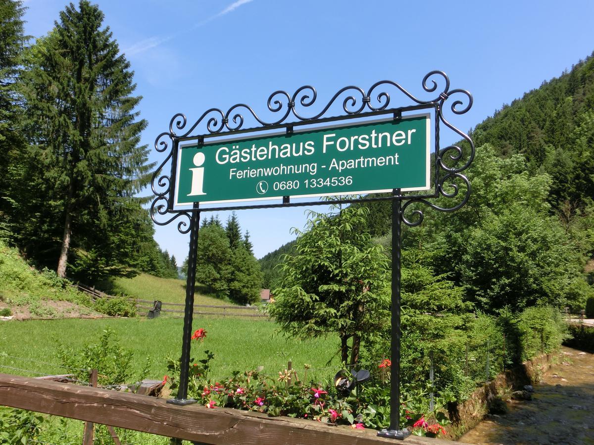 Gaestehaus Forstner Loich المظهر الخارجي الصورة